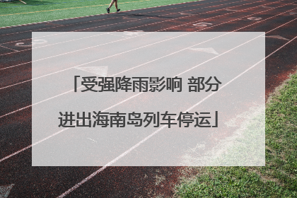 受强降雨影响 部分进出海南岛列车停运